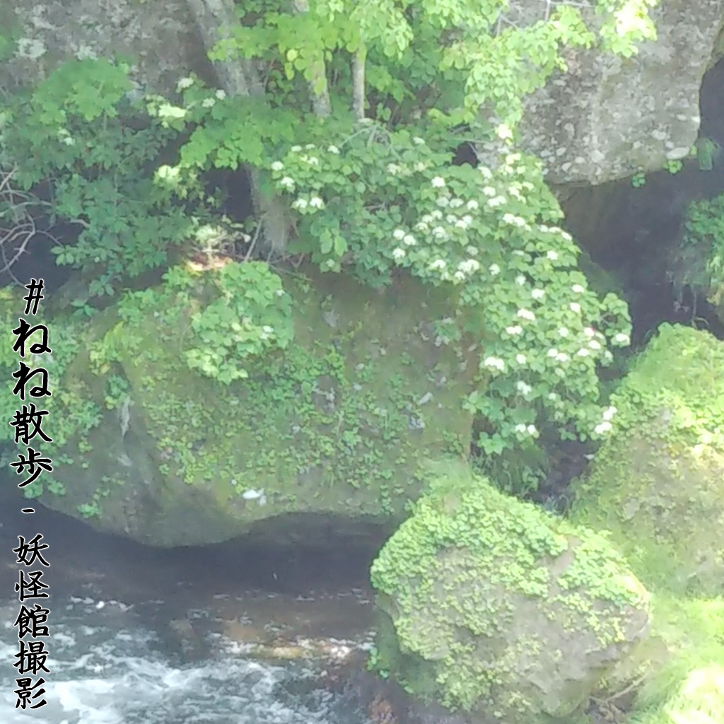 奥日光 他の写真|妖怪館撮影