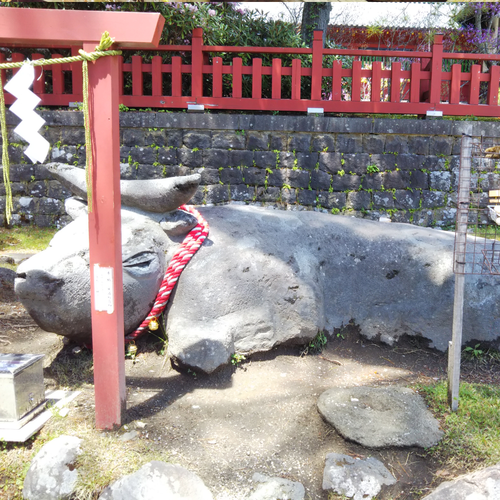 ねね散歩写真