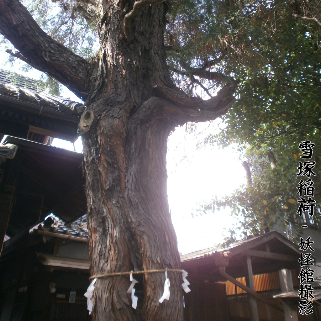 雪塚稲荷 妖怪館撮影