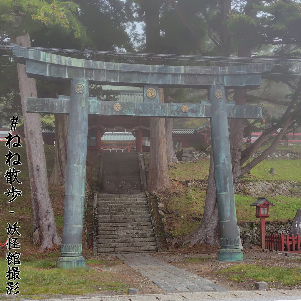 霧がかかった二荒山神社中宮祠|日光の「ねね」と祢々切丸を訪ねて2026